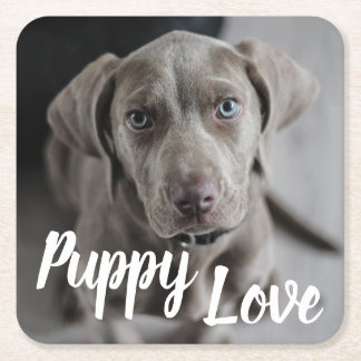 Puppy Love Cute Weimaraner Dog Vierkante Kartonnen Onderzetter