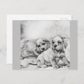 puppy love in gray briefkaart (Voorkant / Achterkant)