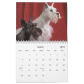 Puppy Love Kalender (Mar 2027)