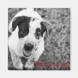 Puppy Love Magneet