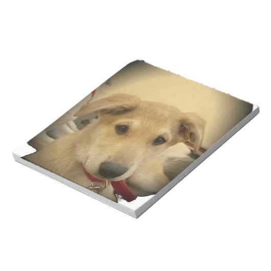 Puppy Love: Man's beste vriend Notitieblok (Gedraaid)