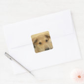 Puppy Love: Man's beste vriend Vierkante Sticker (Envelop)
