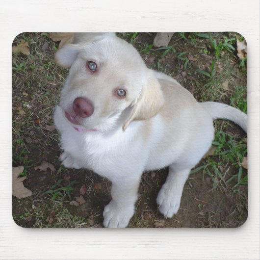 Puppy Love Muismat (Voorkant)