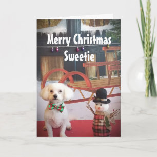PUPPY LOVE NAUGHTY OF NICE IN CHRISTMAS FEESTDAGEN KAART