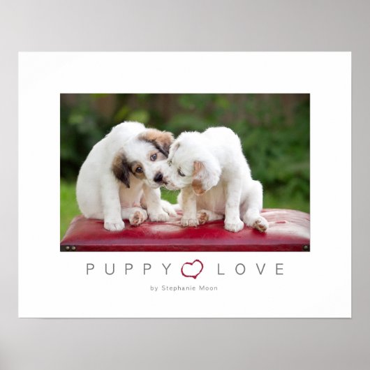 Puppy Love Poster (Voorkant)