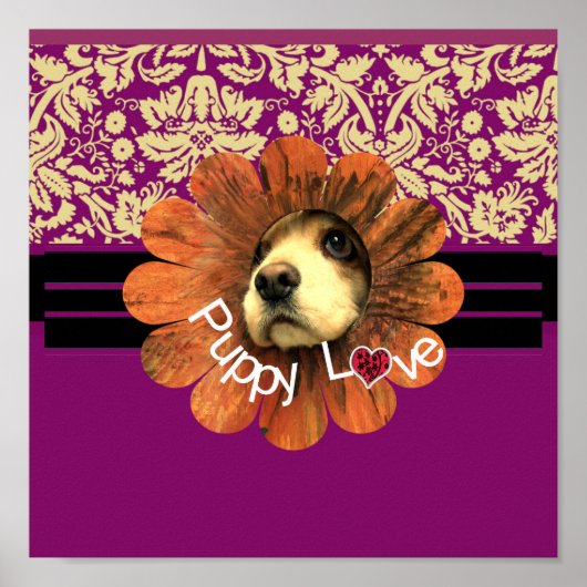 Puppy Love Poster (Voorkant)