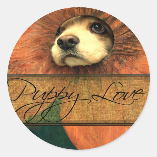 Puppy Love Ronde Sticker (Voorkant)