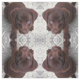 Puppy Love Stof