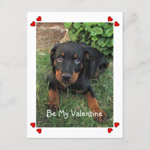 Puppy Love Valentijnsdag Briefkaart