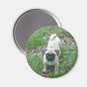 puppy magneet (Voorkant / Achterkant)