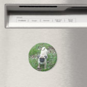 puppy magneet (Insitu (Vaatwasser))