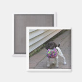 puppy magnet magneet (Voorkant / Achterkant)