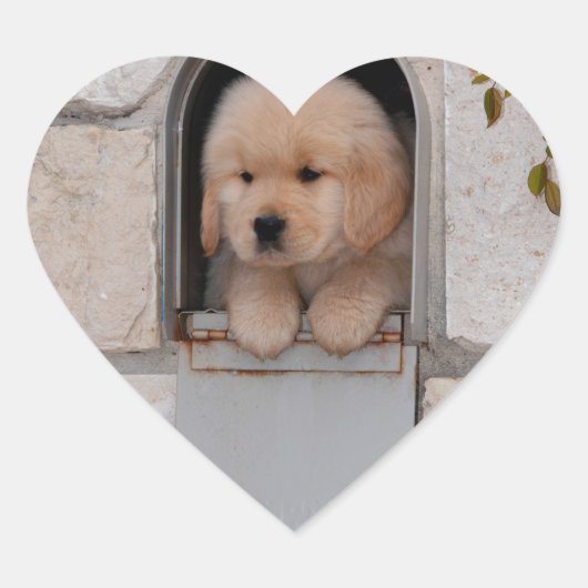 puppy-mail hart sticker (Voorkant)