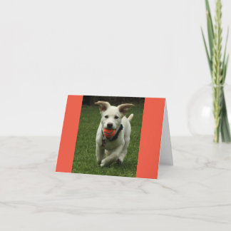 Puppy met bal verjaardagskaart bedankkaart