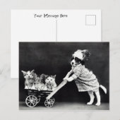Puppy met Drie Kittens in een Carriage Briefkaart (Voorkant / Achterkant)