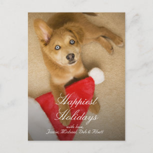 Puppy met het pet van de Kerstman Feestdagenkaart