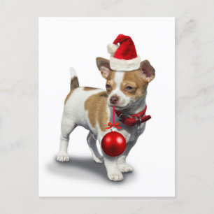 Puppy met pet voor kerst en bal briefkaart