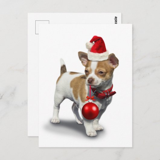 Puppy met pet voor kerst en bal briefkaart (Voorkant / Achterkant)