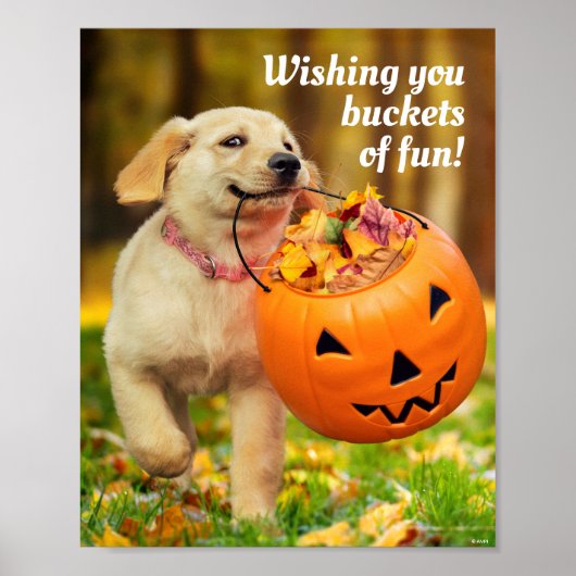 Puppy met pompoen Bucket Poster (Voorkant)