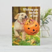 Puppy Met Pompoen Emmer Kaart (Staand voorkant)