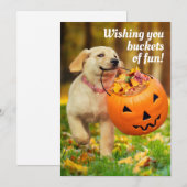 Puppy Met Pompoen Emmer Kaart (Voorkant / Achterkant)