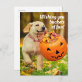 Puppy Met Pompoen Emmer Uitnodiging Briefkaart (Voorkant / Achterkant)