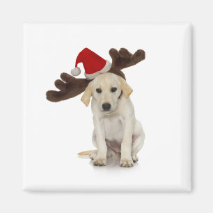 Puppy met Santa Hat en rendieroorten Magneet