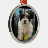 Puppy met Tennis Ball Rescue Metalen Ornament (Rechts)