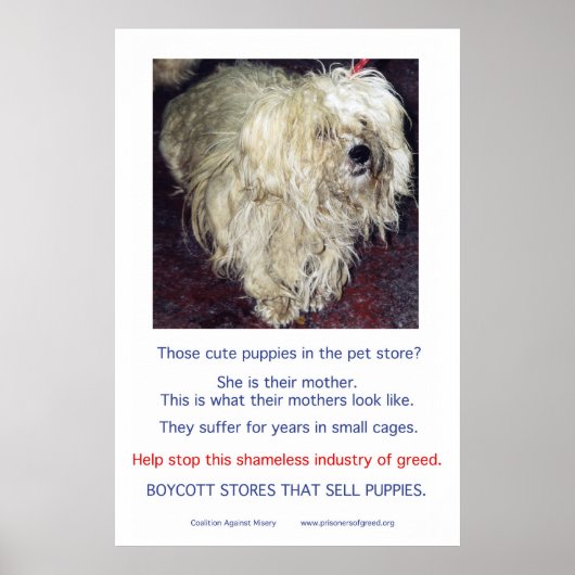 Puppy Mills Breed Misery Poster (Voorkant)
