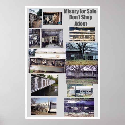 Puppy Mills Breed Misery Poster (Voorkant)