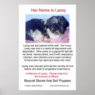 Puppy Mills Breed Misery Poster