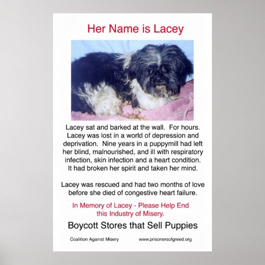 Puppy Mills Breed Misery Poster (Voorkant)