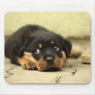 Puppy Mousepad Muismat