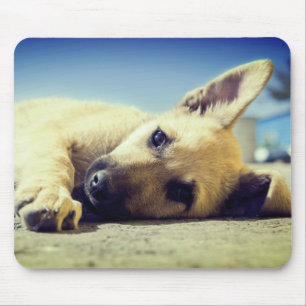 Puppy Muismat