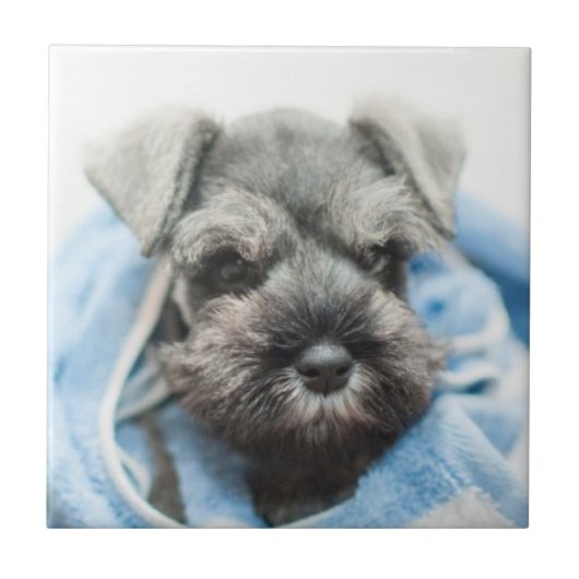 Puppy na Bath Tegeltje (Voorkant)