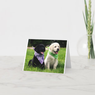 Puppy Note-kaart voor gele en zwarte labrador Kaart