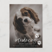 Puppy of Dog adoptiekaart, nieuwe huisdieraankondi