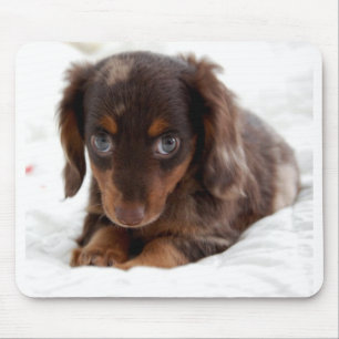 Puppy ogen muismat