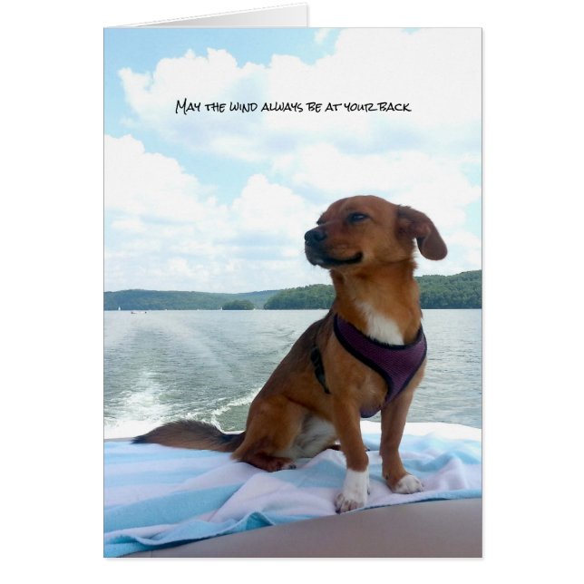 Puppy on Boat Wind at Back Sentiments (Devant)