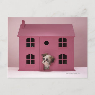 Puppy peering uit het huis van de pop briefkaart