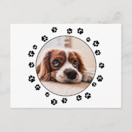 Puppy Photo Black Pawprints Briefkaart