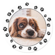 Puppy Photo Pawprints