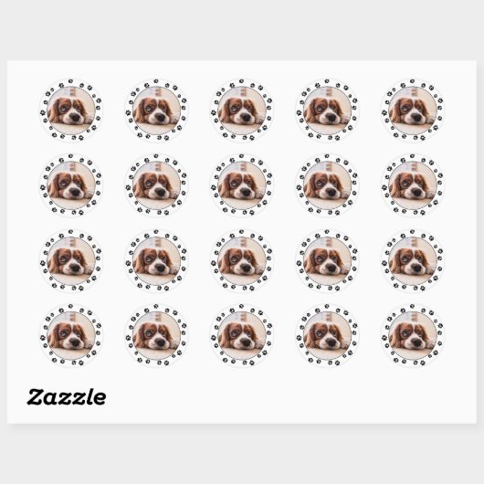 Puppy Photo Pawprints Ronde Sticker (Vel)