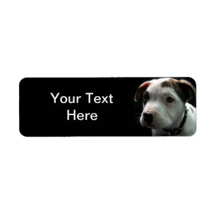 Puppy Pit Bull T-Bone Etiket