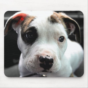 Puppy Pit Bull T-Bone Muismat