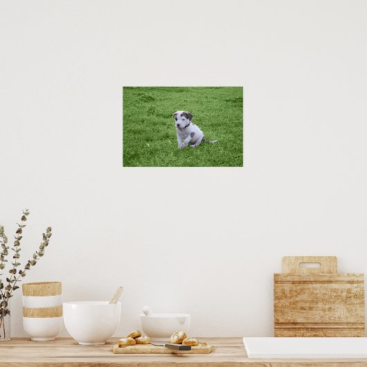 Puppy Pit Bull T-Bone Poster (Keuken)