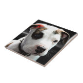 Puppy Pit Bull T-Bone Tegeltje (Zijkant)