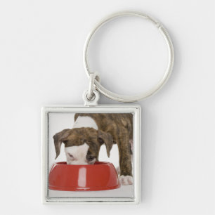 Puppy pitbull eet uit gerecht sleutelhanger