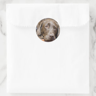 Puppy Play Date Chocolate Labrador Foto Ronde Sticker