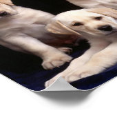 Puppy Poster (Hoek)